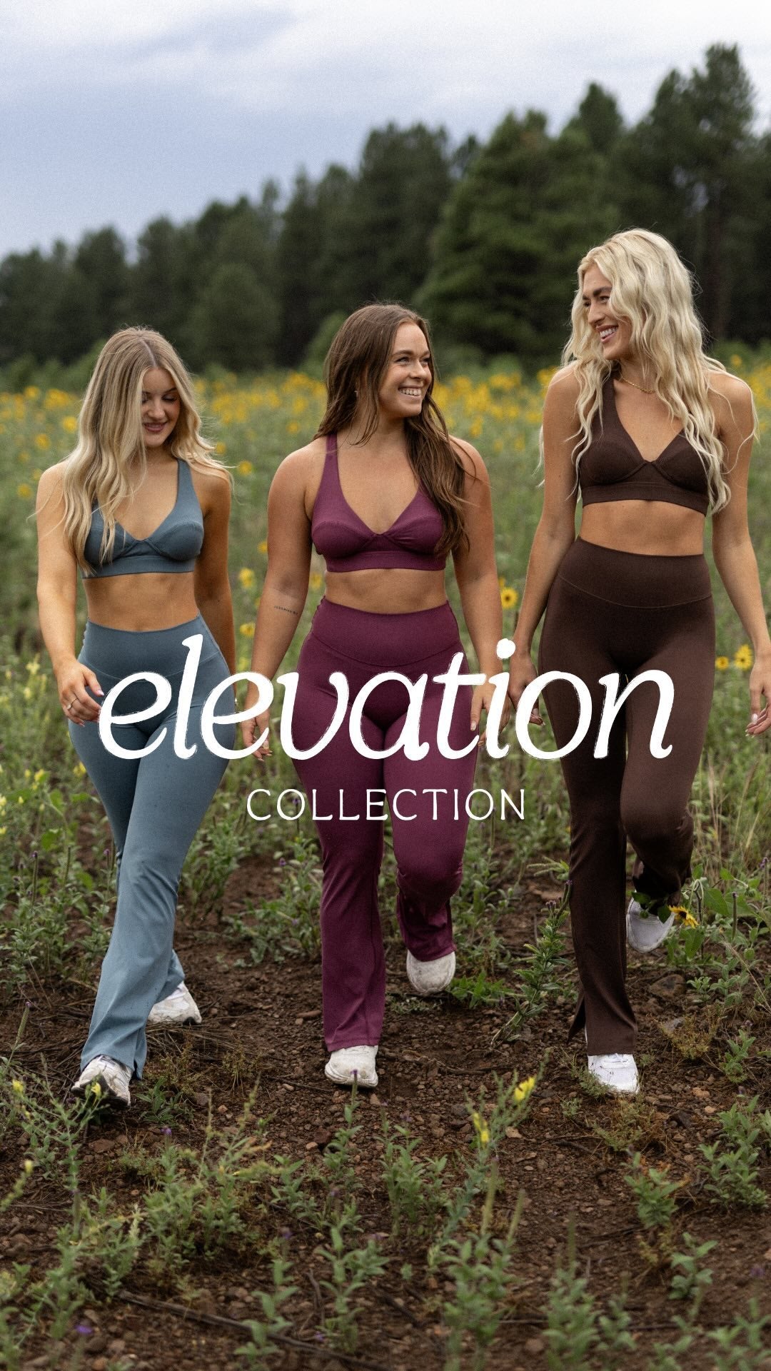 Elevation Collection